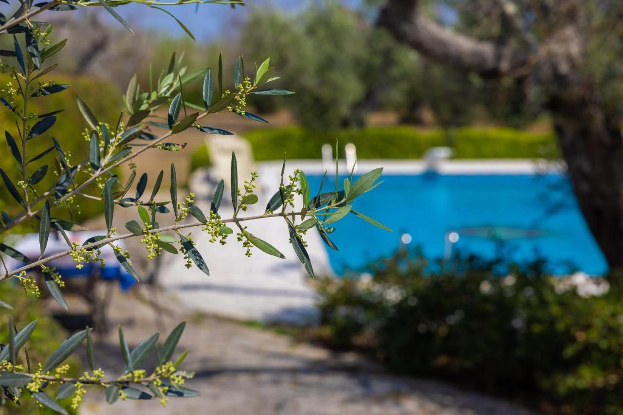 לינה וארוחת בוקר אוג'אנו לה קייזה Casa Ulmi Con Piscina מראה חיצוני תמונה
